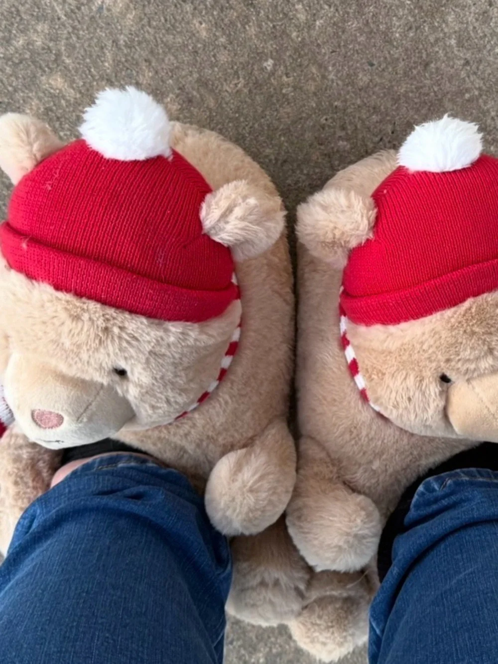 Christmas Bear Slippers